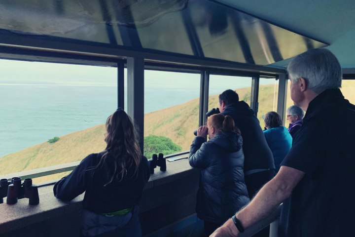 Guide and guest viewing albatross from the Richdale Observatory