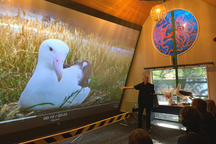 Presentation by guide in the tour room