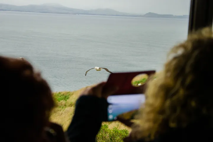a person sitting in front of a body of water