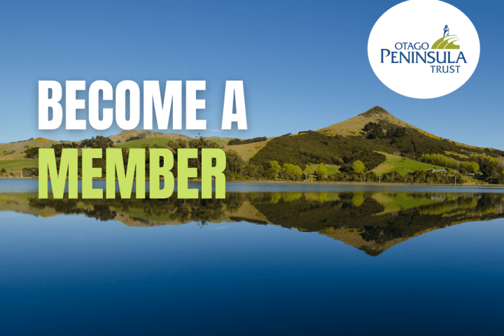 Become a member header