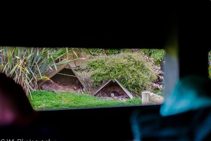 graphical user interface