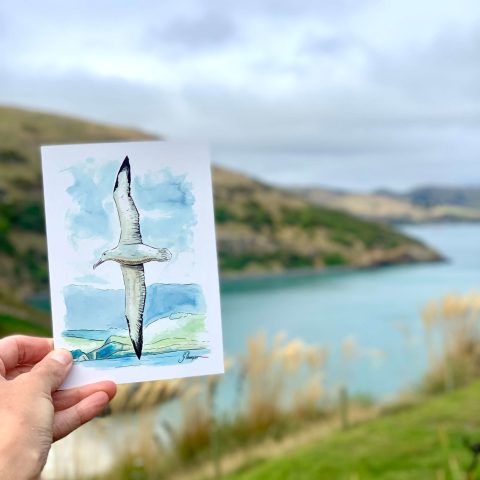 a hand holding a water bottle next to a body of water