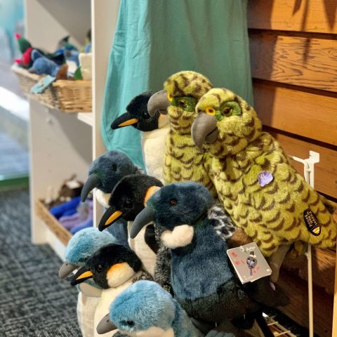 a bird sitting on top of a pile of stuffed animals