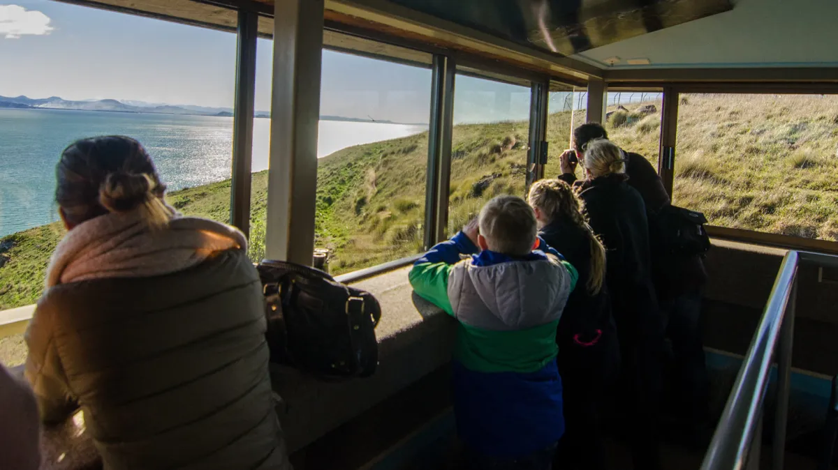 Observatory a group viewing albatross from the Richdale Observatory