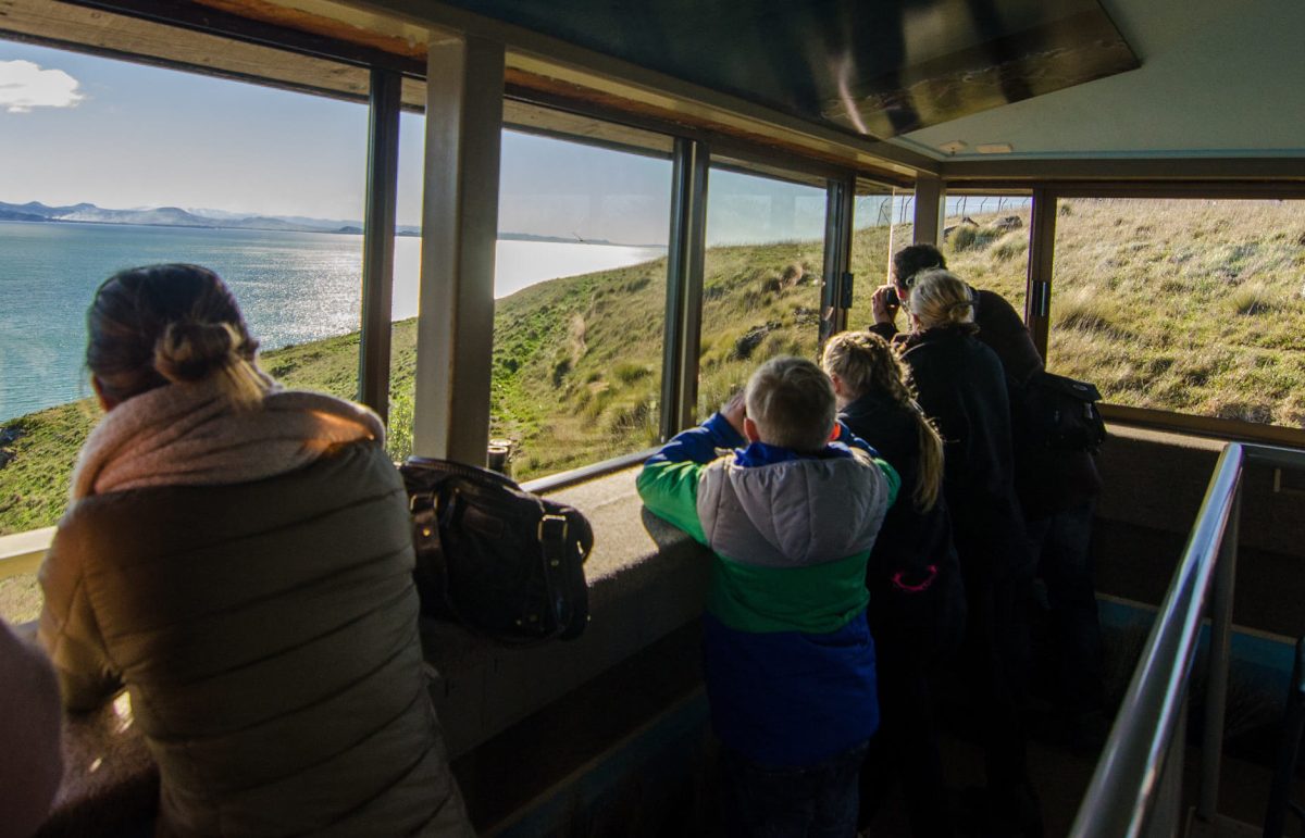 Observatory a group viewing albatross from the Richdale Observatory