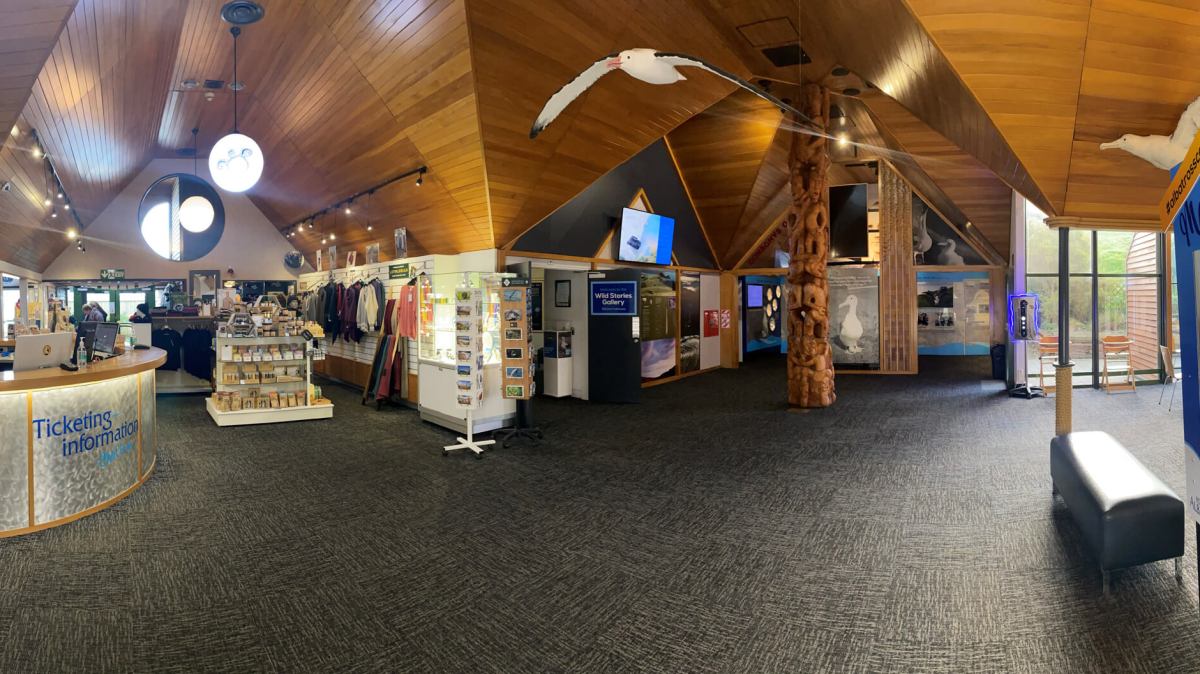 Visiting the Royal Albatross Centre Inside the Royal Albatross Centre