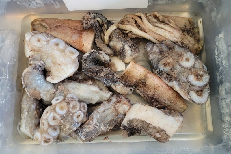 Frozen octopus pieces in a plastic container.